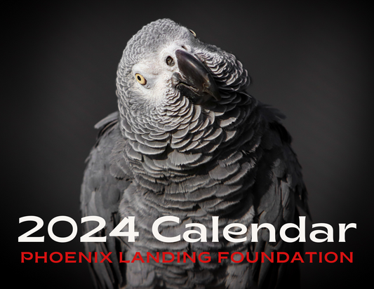 2024 Phoenix Landing Calendar
