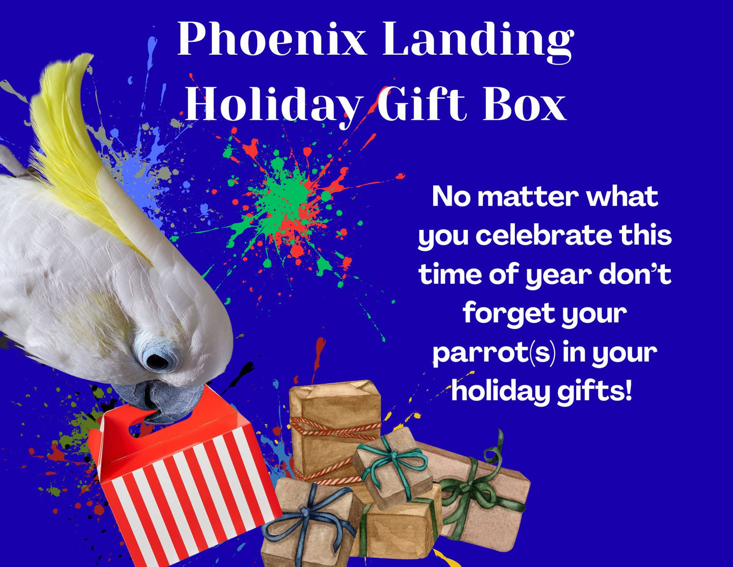 Holiday Gift Box - Large Shredder