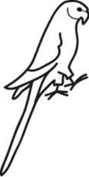 Car Window Decal