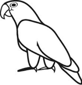 Car Window Decal