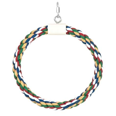 Ring Swing