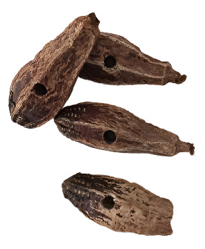 Mahogany Pods - 5 pack