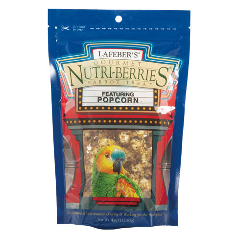 Popcorn Nutri-Berrie Treats