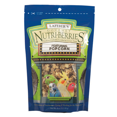 Popcorn Nutri-Berrie Treats