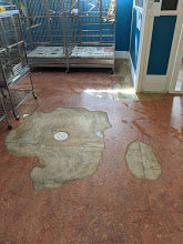 Donation - Phoenix Landing Core Fund