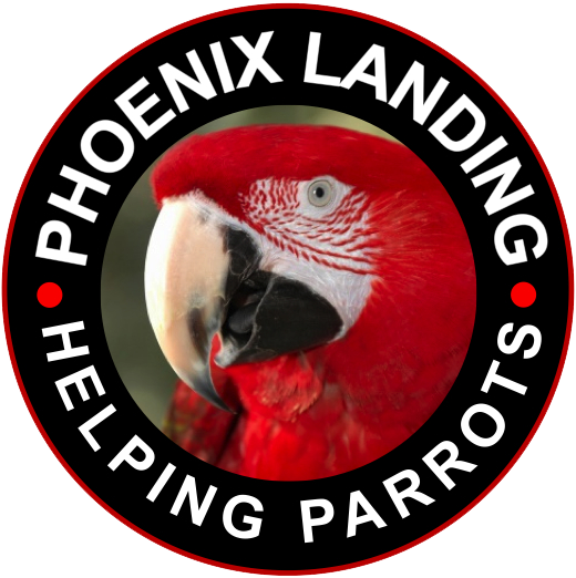 Donation - Wherever funds are needed most