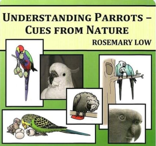 Understanding Parrots: Cues from Nature by Rosemary Low