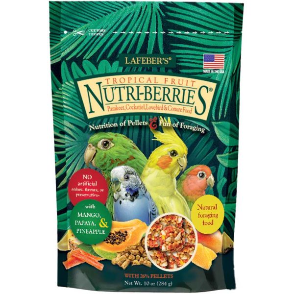Tropical Fruit Nutri-Berries for Cockatiels - 10 oz