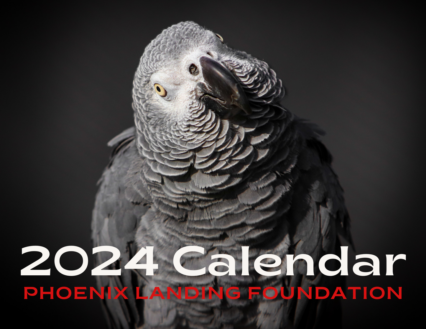 2025 Phoenix Landing Calendar Phoenix Landing's Helping Parrots