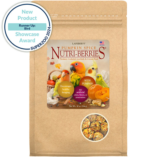 Pumpkin Spice Nutri-Berries for Small Birds 10oz