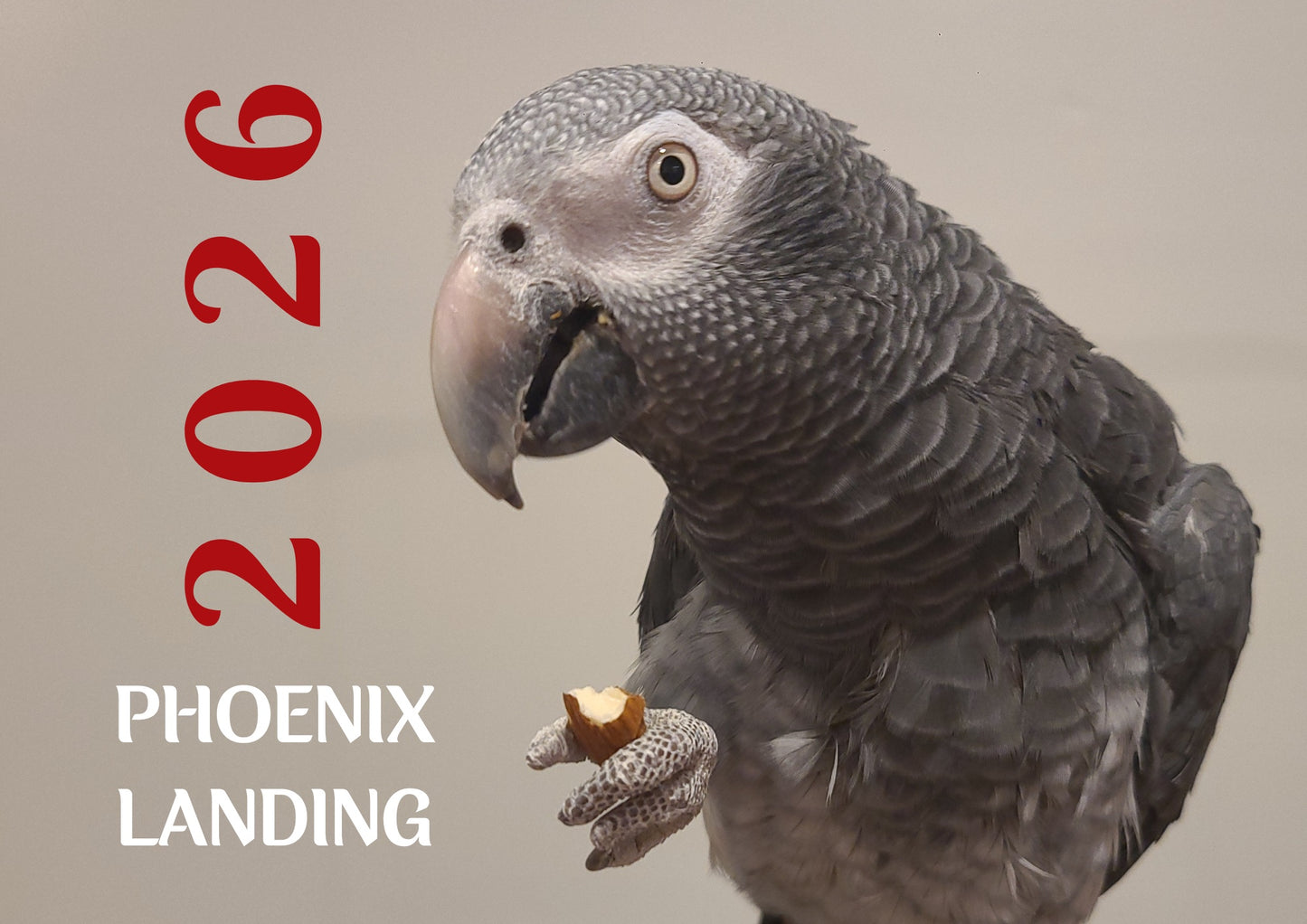 2026 Phoenix Landing Calendar