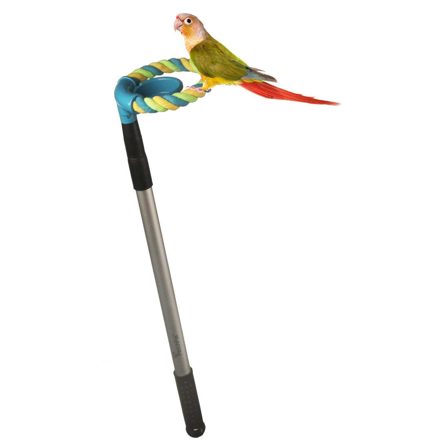 PerchPal