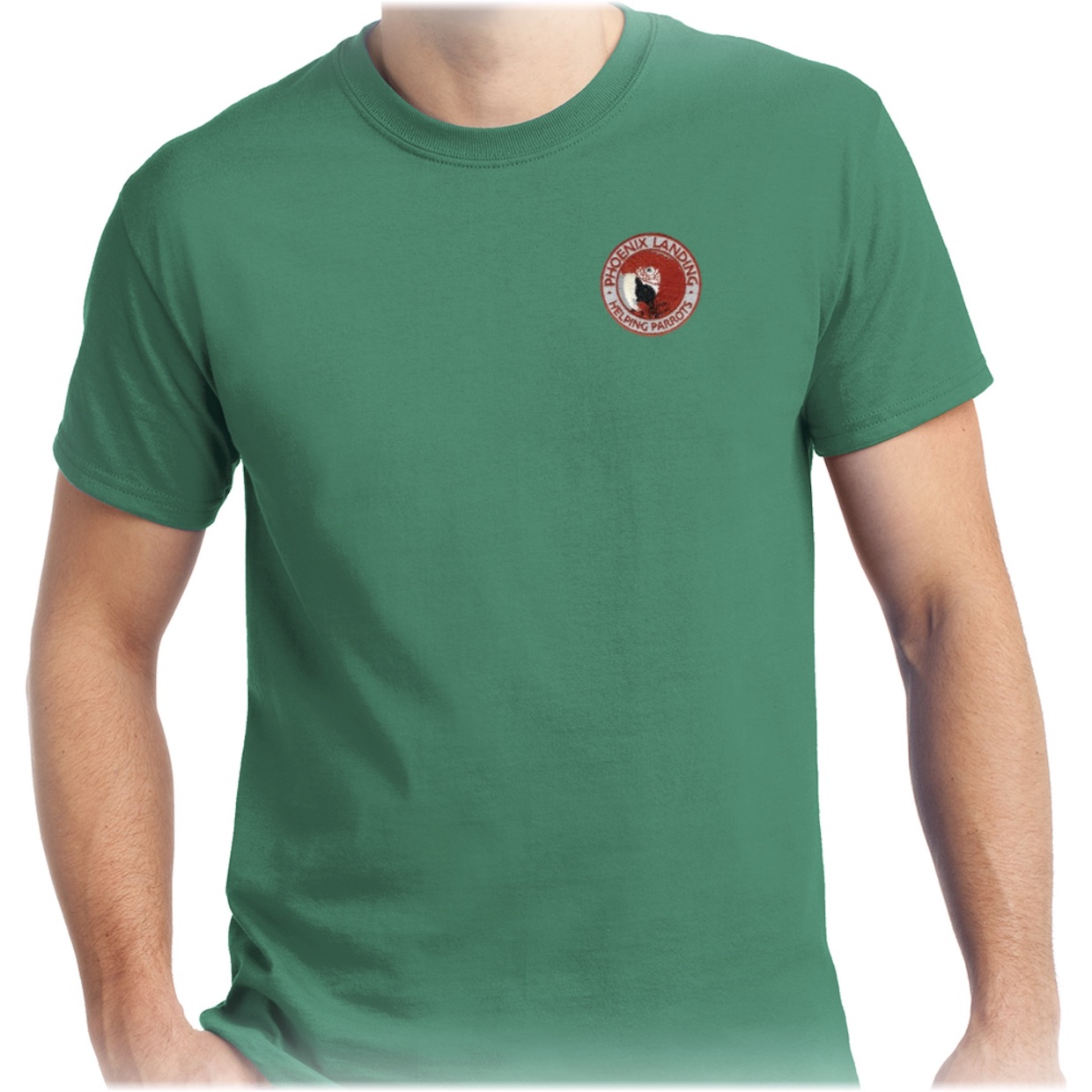 Short Sleeve Tee Shirt - Kelly Green