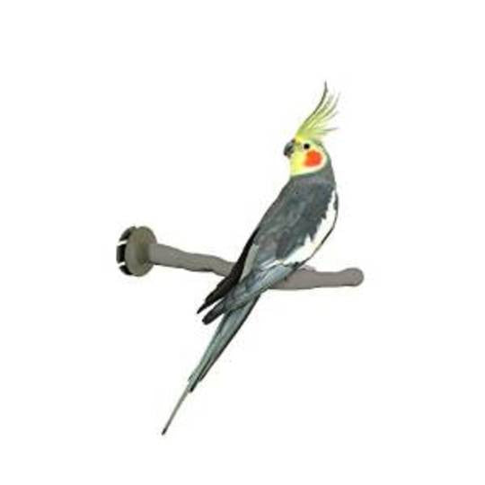 Thermo Perch