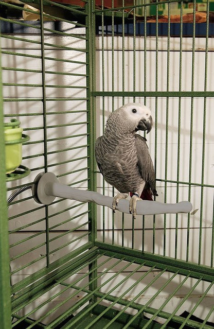 Thermo Perch