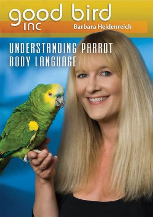 Understanding Parrot Body Language