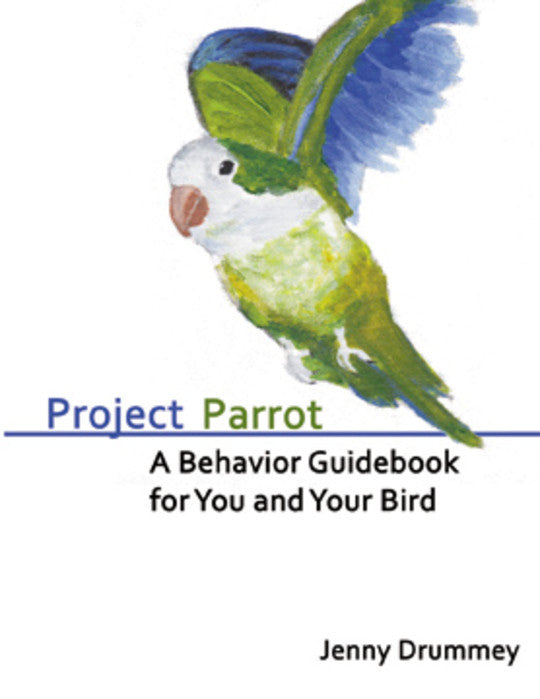 Project Parrot by Jenny Drummey