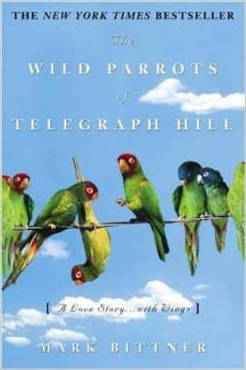 The Wild Parrots of Telegraph Hill