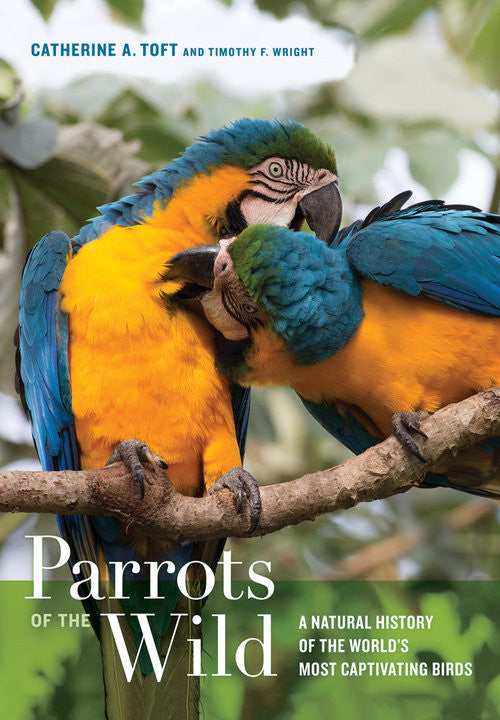 Parrots of the Wild (Toft, Wright)