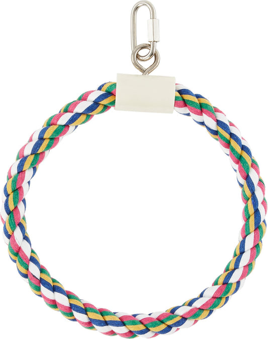 Ring Swing