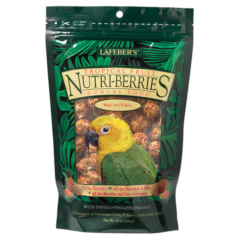 Tropical Fruit Nutri-Berries for Conures - 10 oz