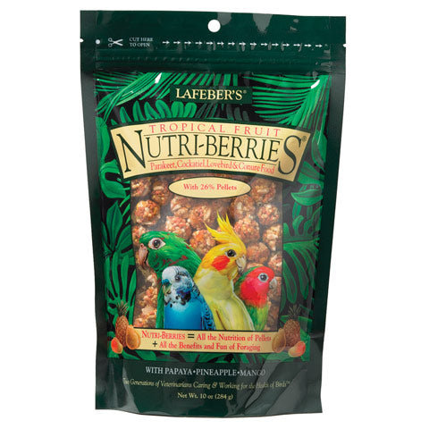 Tropical Fruit Nutri-Berries for Cockatiels - 10 oz