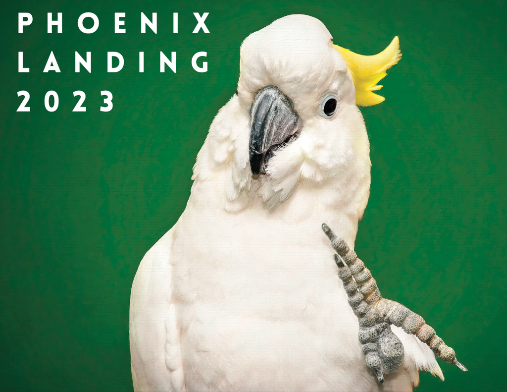 2023 Phoenix Landing Calendar